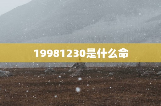 19981230是什么命