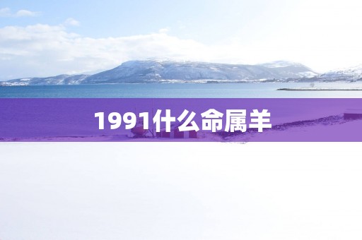 1991什么命属羊
