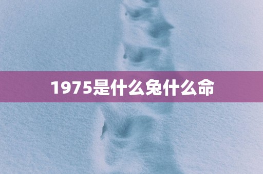 1975是什么兔什么命