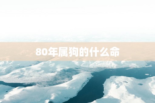 80年属狗的什么命