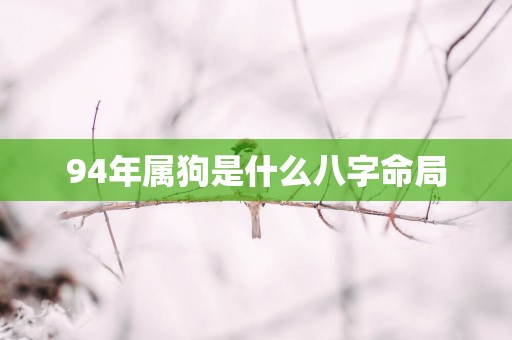 94年属狗是什么八字命局