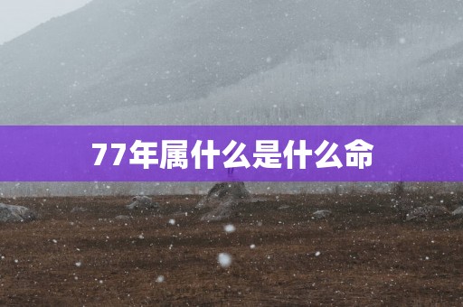 77年属什么是什么命