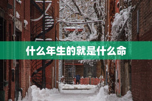 什么年生的就是什么命