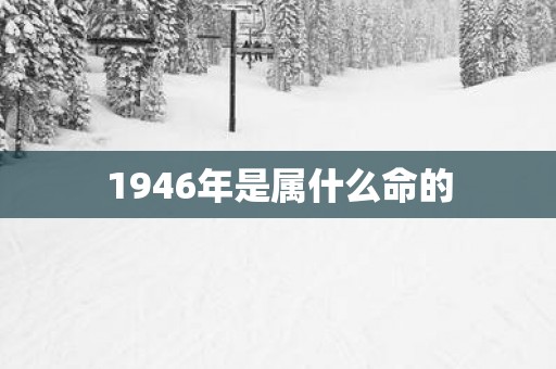 1946年是属什么命的