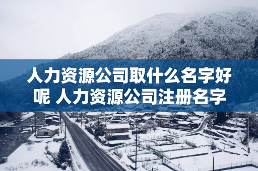 人力资源公司取什么名字好呢 人力资源公司注册名字