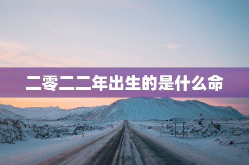 二零二二年出生的是什么命