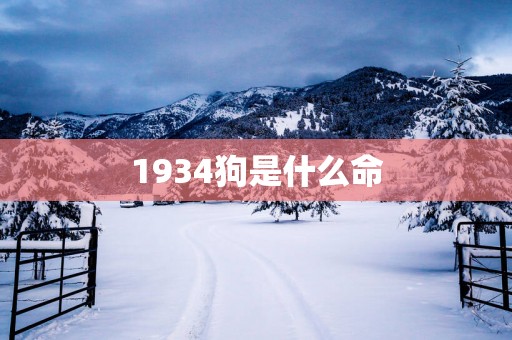 1934狗是什么命