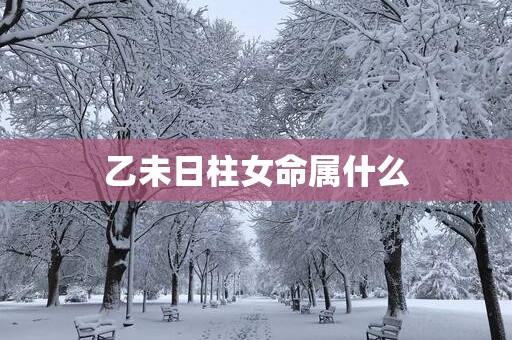 乙未日柱女命属什么