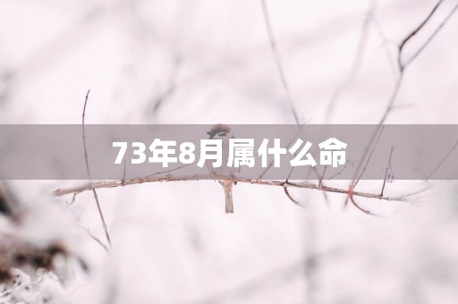 73年8月属什么命