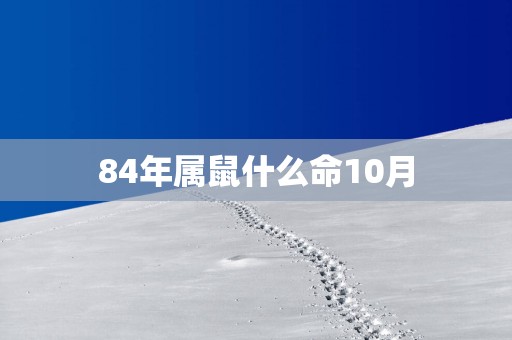 84年属鼠什么命10月