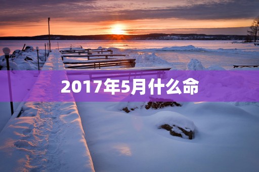 2017年5月什么命