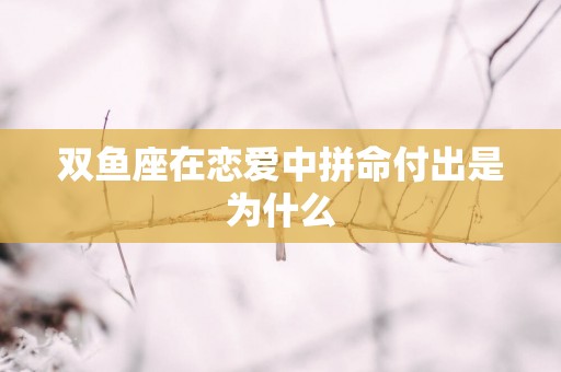 双鱼座在恋爱中拼命付出是为什么