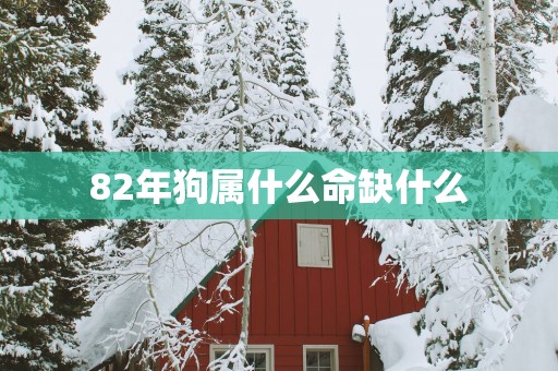 82年狗属什么命缺什么