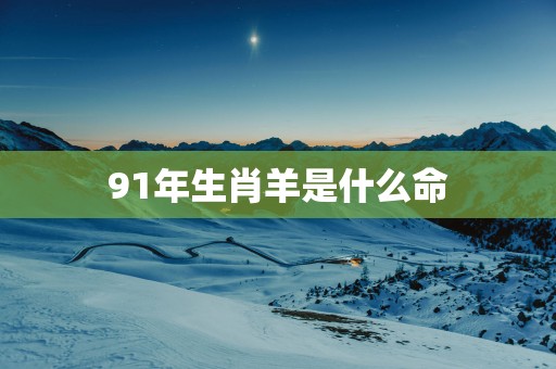 91年生肖羊是什么命