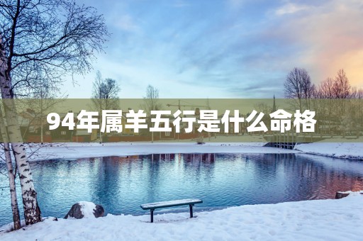 94年属羊五行是什么命格