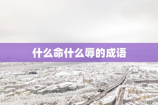 什么命什么辱的成语
