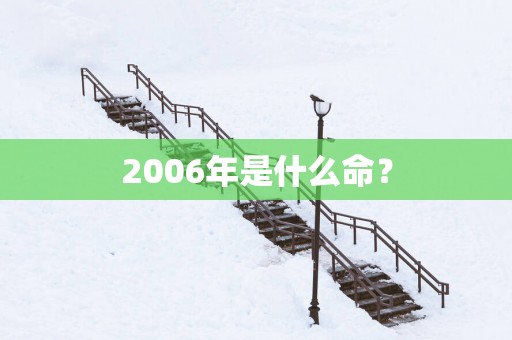 2006年是什么命？