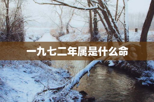 一九七二年属是什么命
