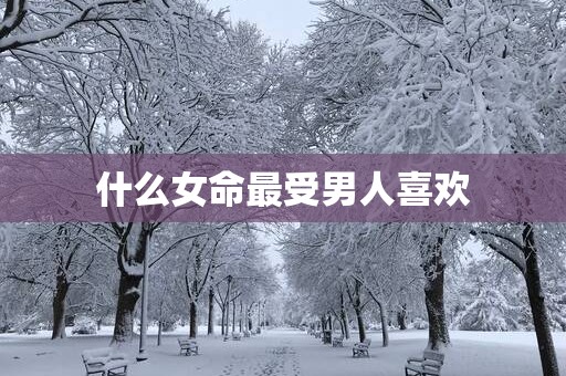 什么女命最受男人喜欢
