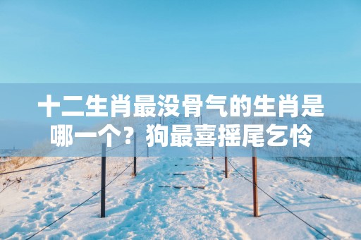 十二生肖最没骨气的生肖是哪一个？狗最喜摇尾乞怜