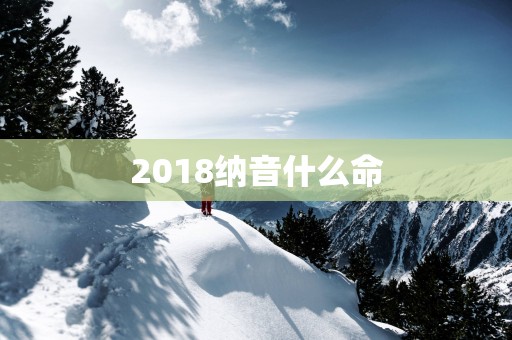 2018纳音什么命