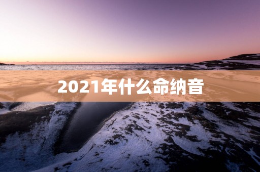 2025年什么命纳音