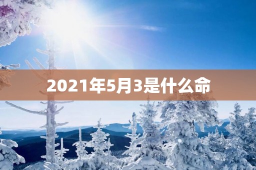 2025年5月3是什么命