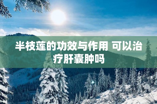 半枝莲的功效与作用 可以治疗肝囊肿吗