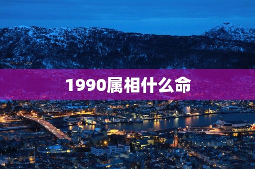 1990属相什么命