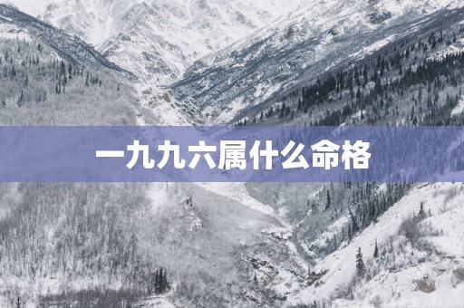 一九九六属什么命格