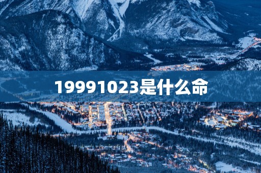 19991023是什么命