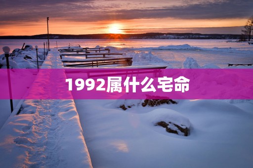 1992属什么宅命