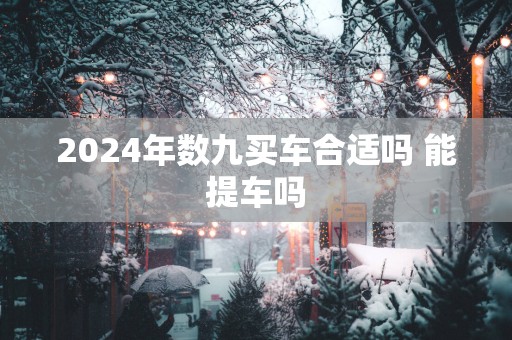 2025年数九买车合适吗 能提车吗