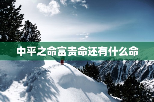 中平之命富贵命还有什么命