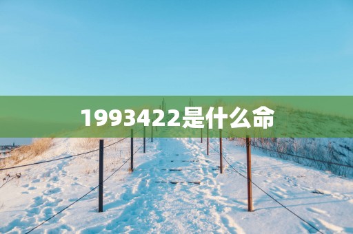 1993422是什么命