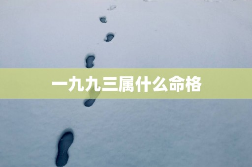 一九九三属什么命格