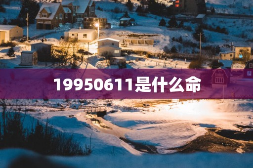 19950611是什么命