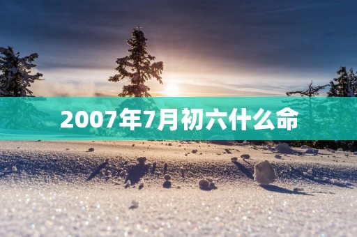 2007年7月初六什么命