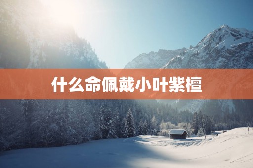 什么命佩戴小叶紫檀