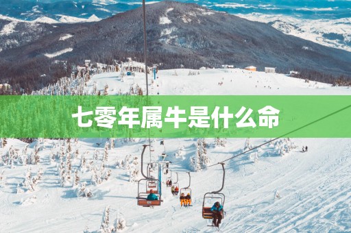 七零年属牛是什么命