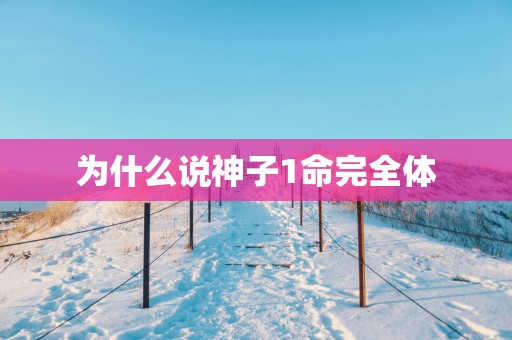 为什么说神子1命完全体
