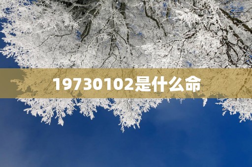 19730102是什么命