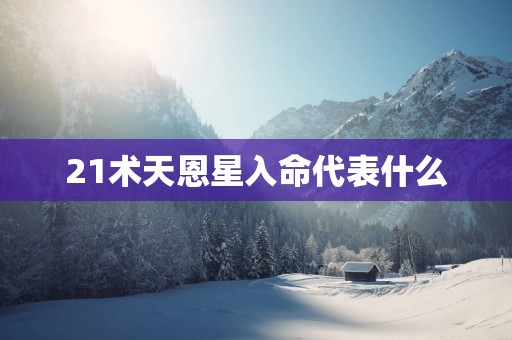 21术天恩星入命代表什么