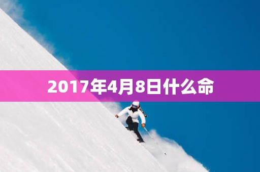 2017年4月8日什么命