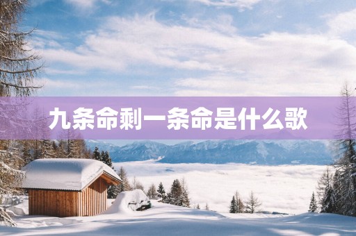 九条命剩一条命是什么歌