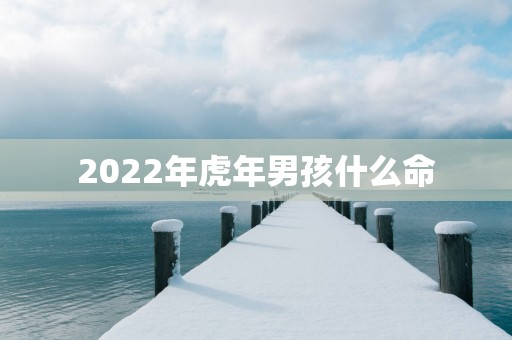 2025年蛇年男孩什么命