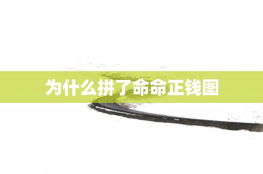 为什么拼了命命正钱图