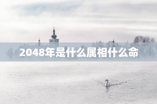 2048年是什么属相什么命