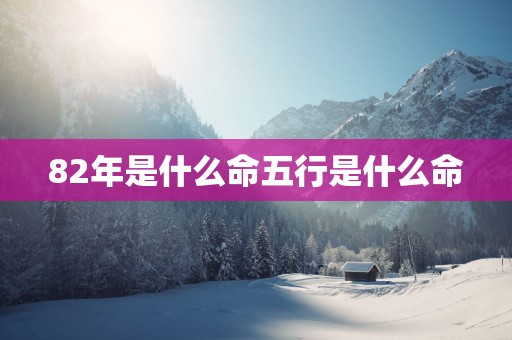 82年是什么命五行是什么命