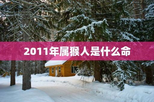 2011年属猴人是什么命
